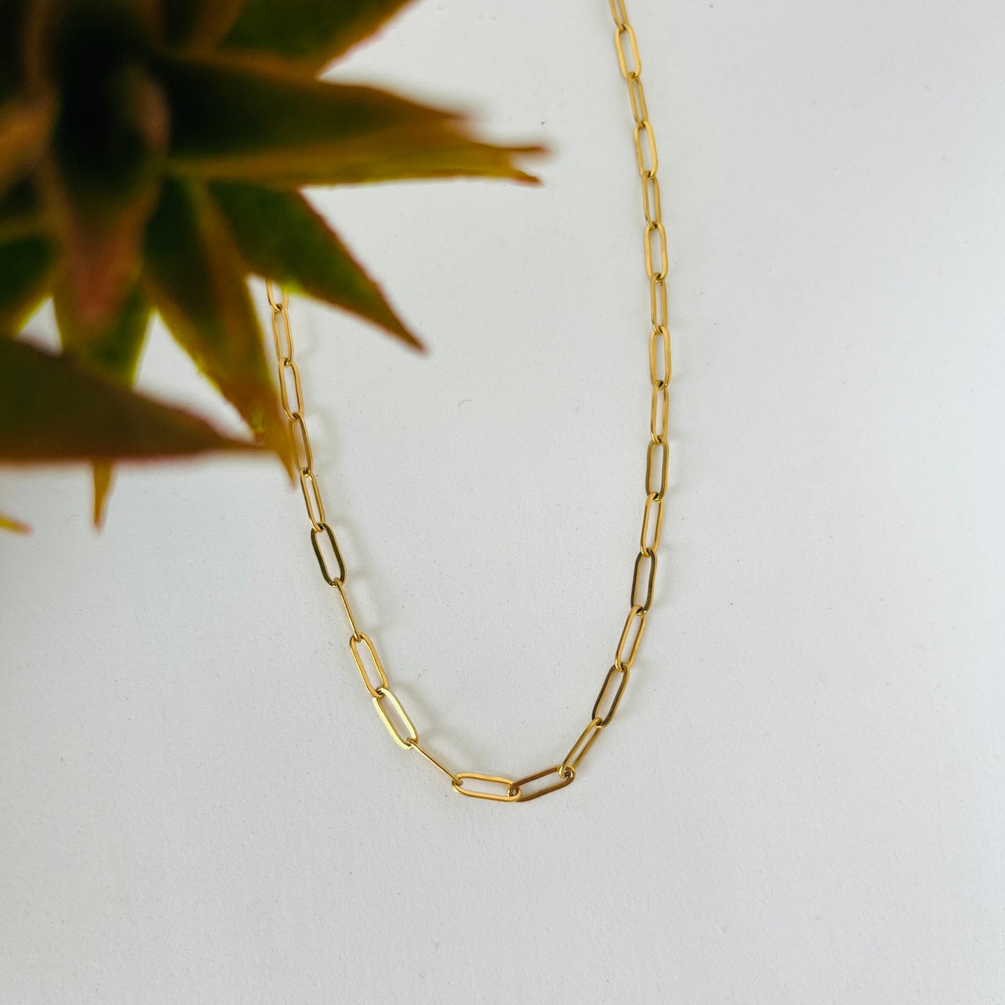 Classic Paper Clip Necklace Chain
