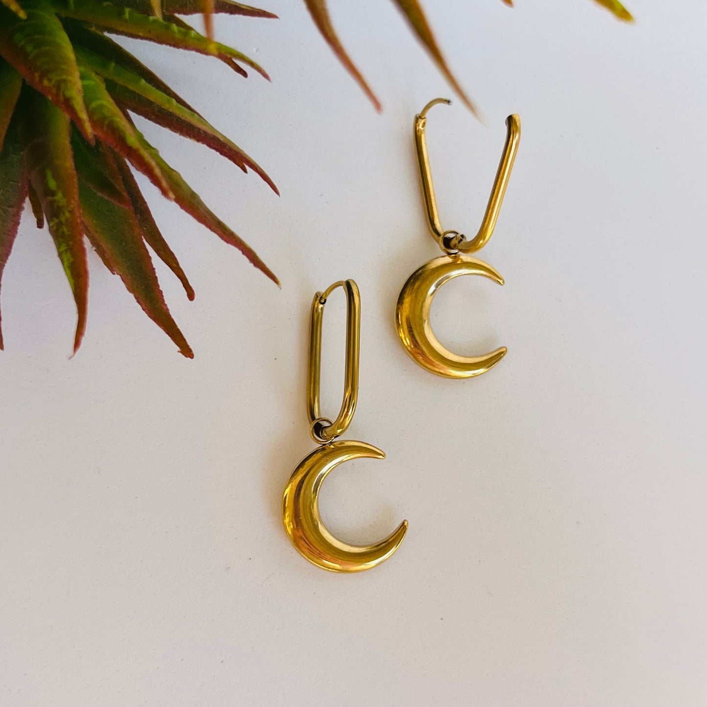 Luna Hoops