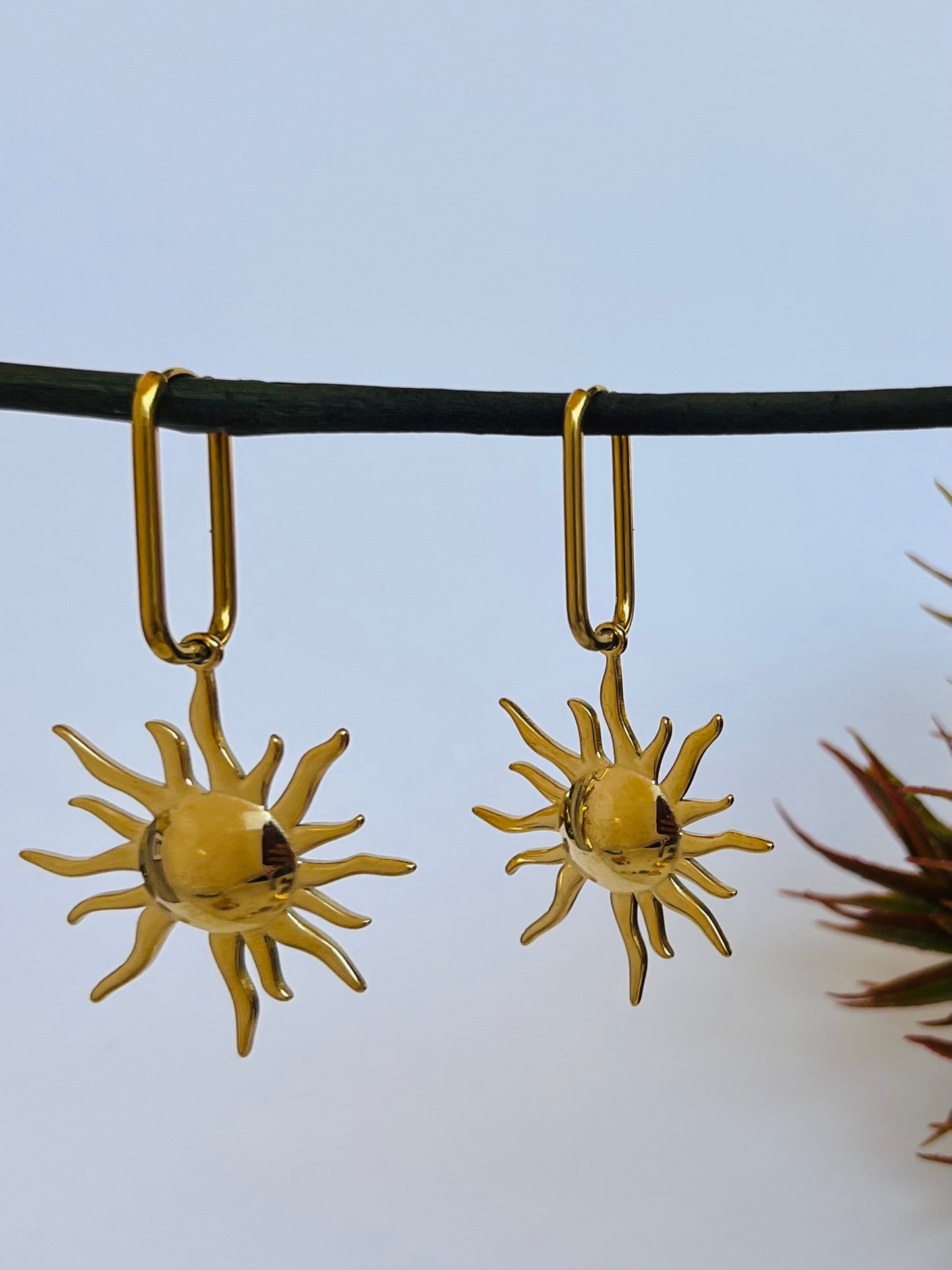 Sunny Hoops
