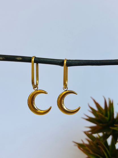 Luna Hoops