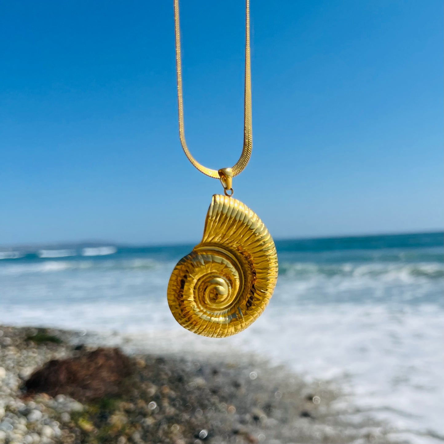Bold Shell Necklace