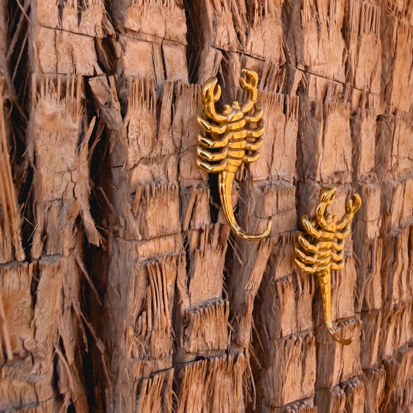 Scorpione Stud Earrings