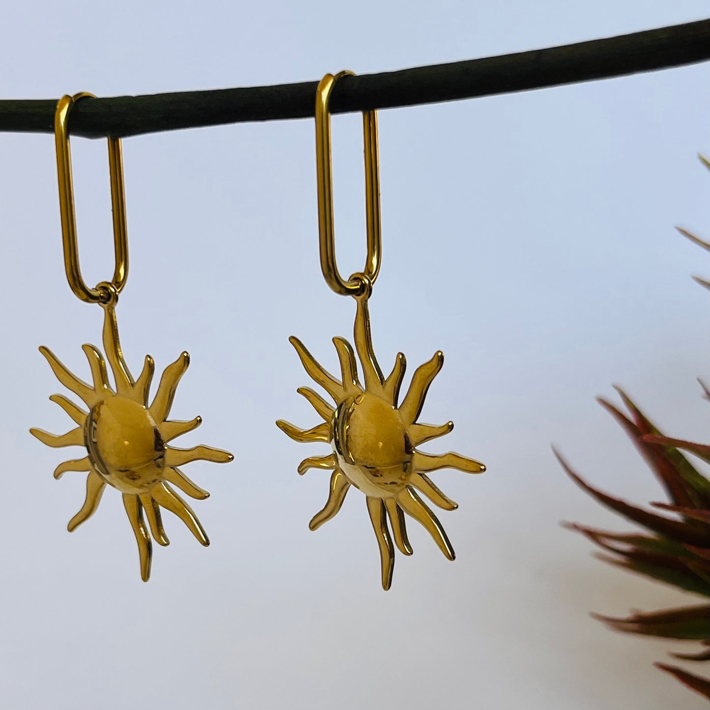 Sunny Hoops