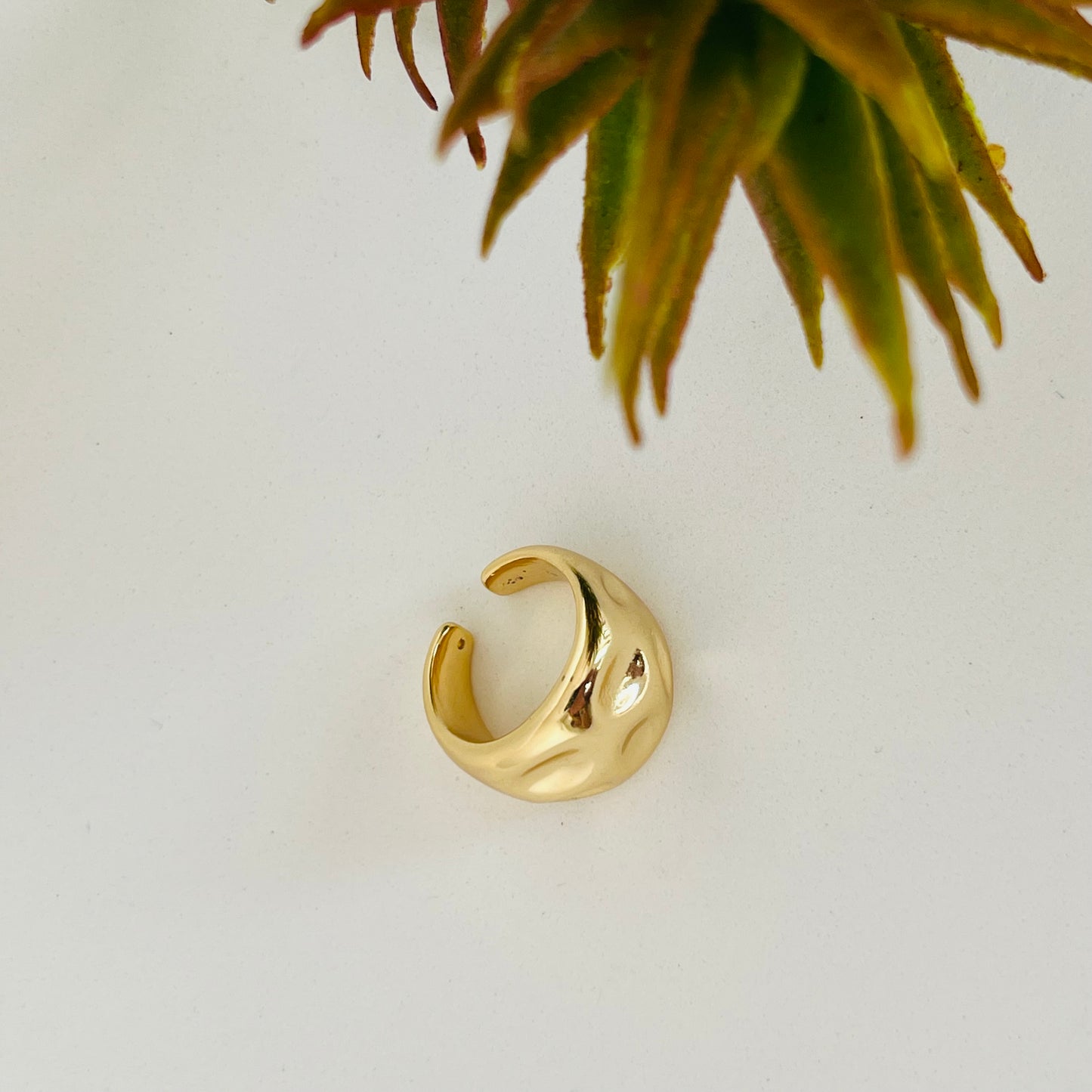 Carmel Ring